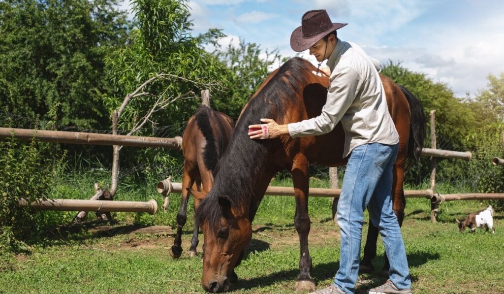 education required for animal breeder education required for animal breeder