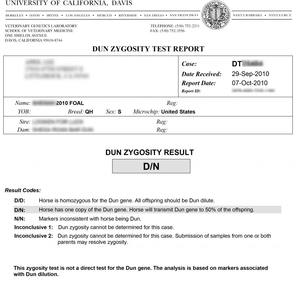 Horse Dun Test Result Report