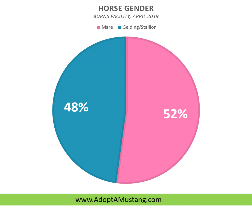 Mustang Horse Gender Breakdown