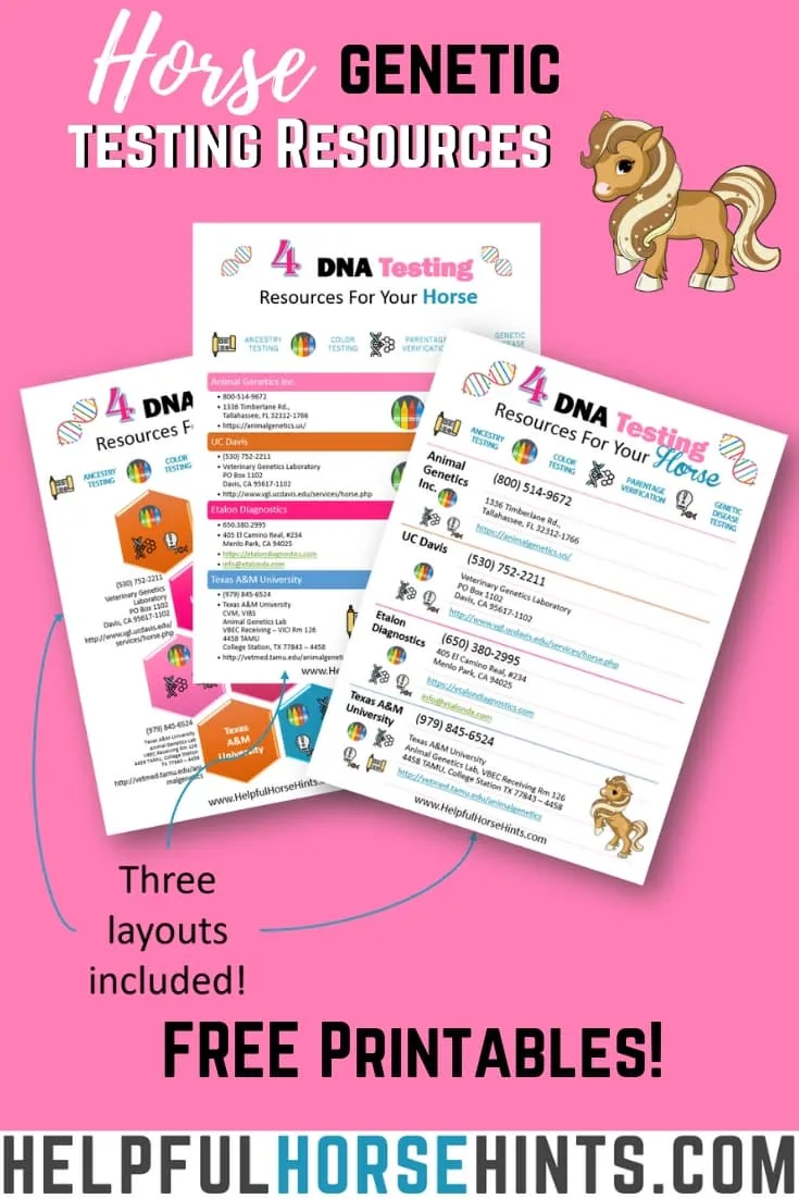 4 Horse DNA Testing Resources