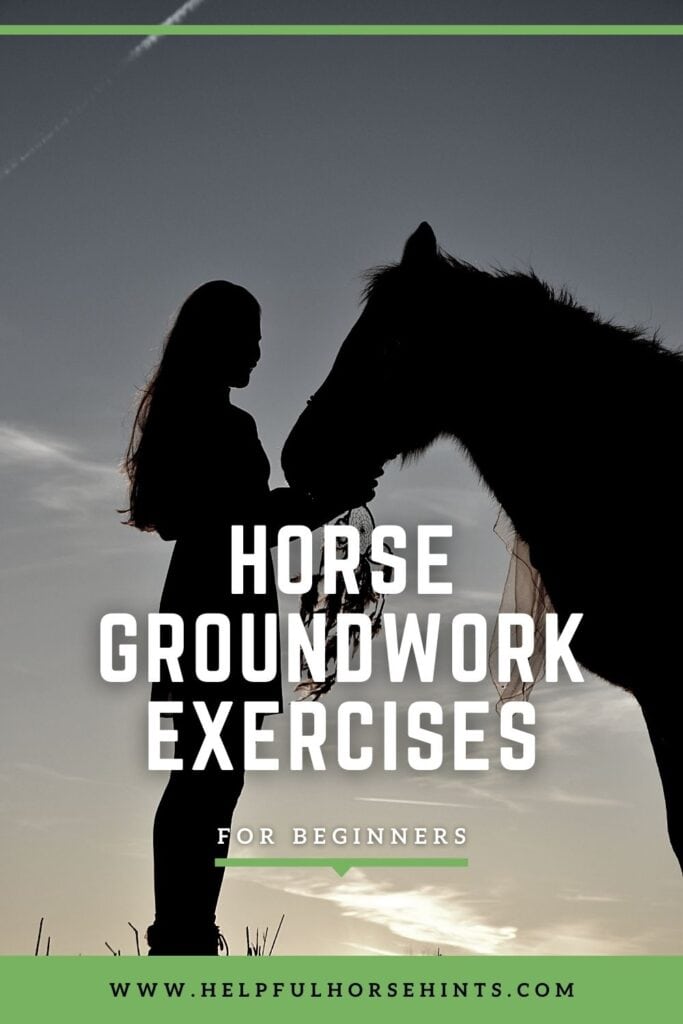 Pinterest pin - Horse Groundwork Exercises for Beginners