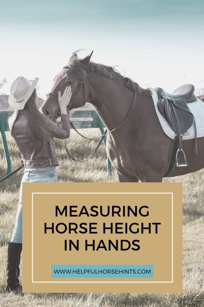 Pinterest pin - Horse Height Measurement in Hands