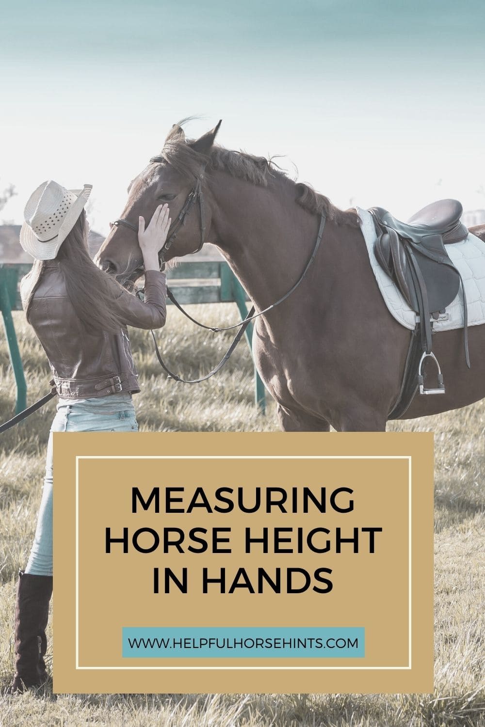 One Hand Equals How Many Inches On A Horse