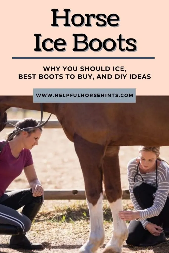 Pinterest pin - Horse Ice Boots - Why You Should Ice, Best Boots to Buy and Ideas to DIY