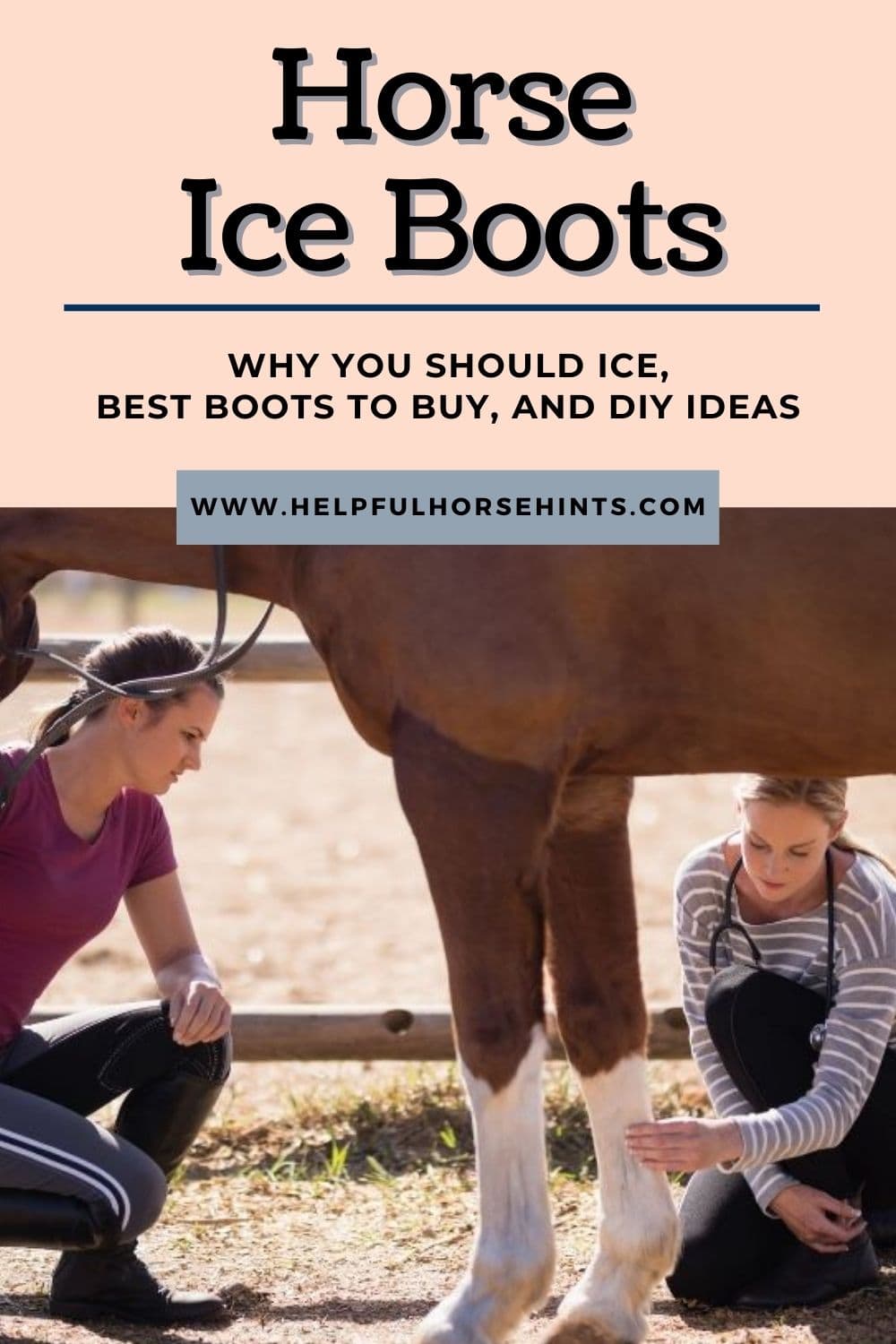 Horse Ice Boots Why You Should Ice, Best Boots to Buy and Ideas to