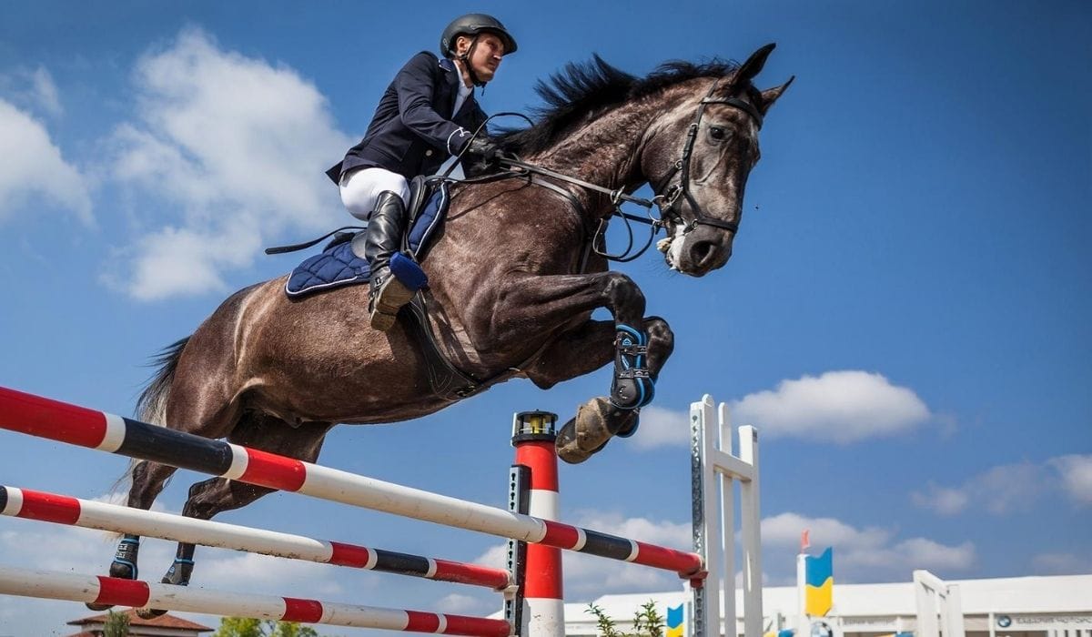 Pair of Equestrian Jumps