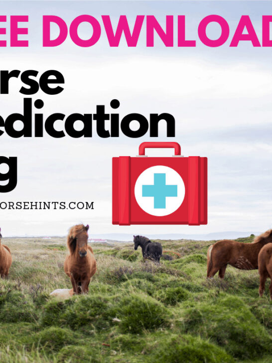Free Download - Horse Medication Log Cover