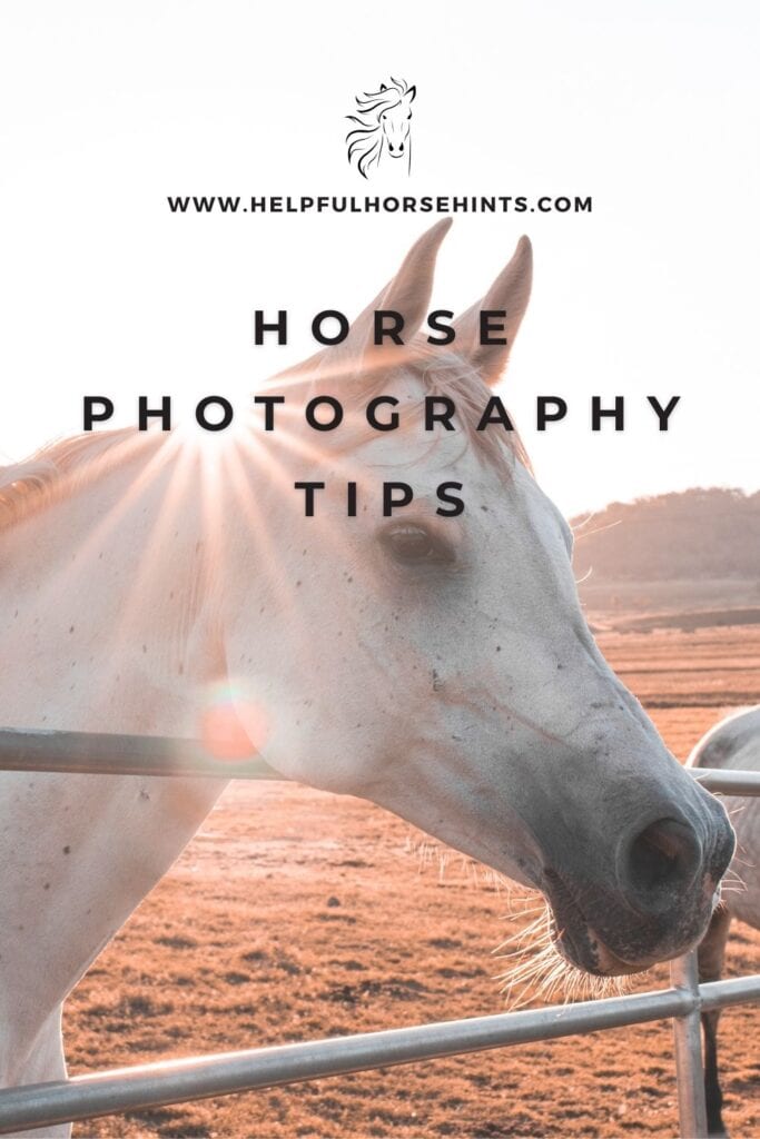 Pinterest pin - Horse Photography tips