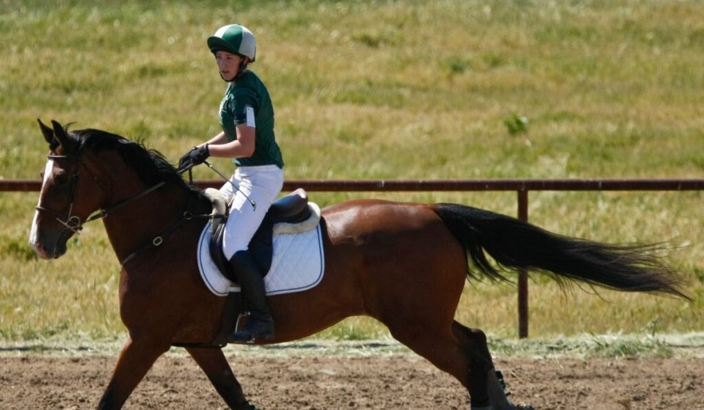 Horse Rider in Competition