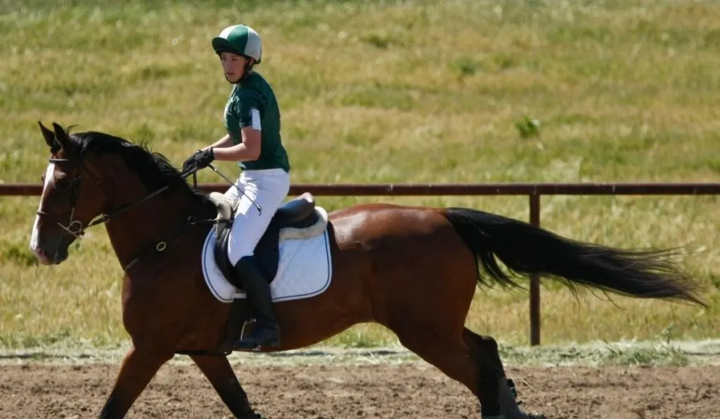 Horse Rider in Competition