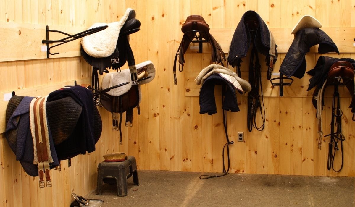 Horse Tack essentials