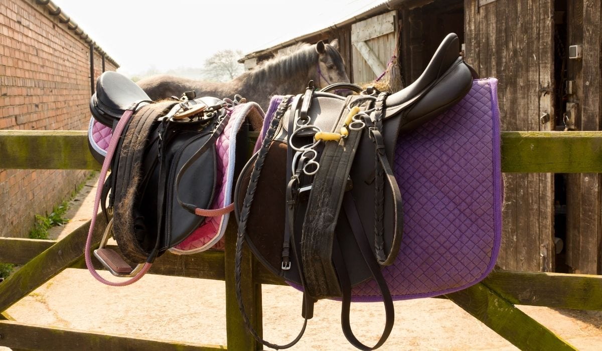 Horse Tack and a horse on the background