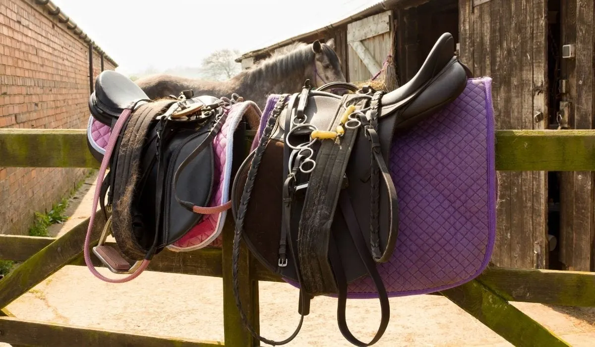 What Tack Do You Need for a Horse Complete Guide Helpful Horse Hints