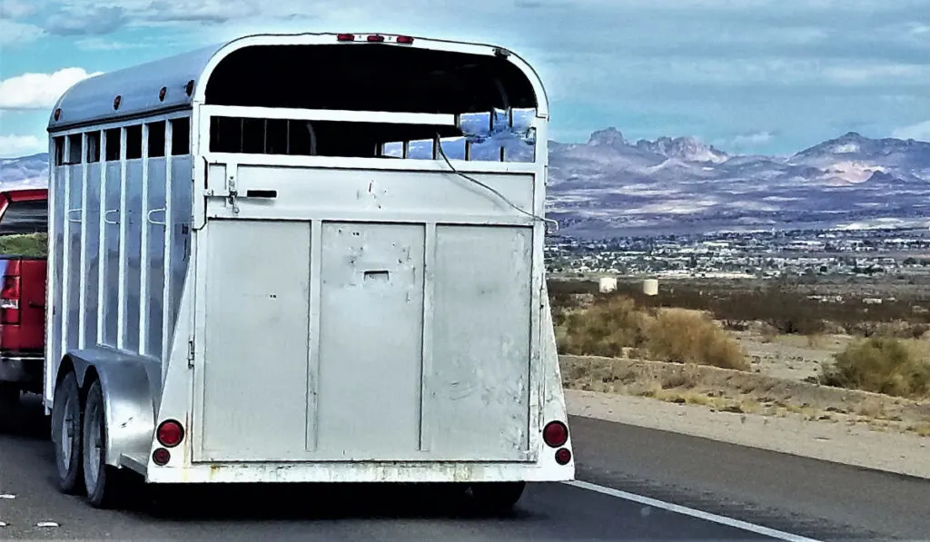 Horse Trailer Being Towed by a Truck After a Rodeo