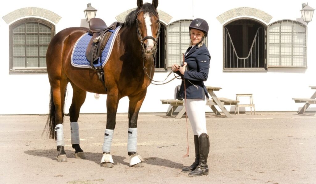 How to become a horse trainer job
