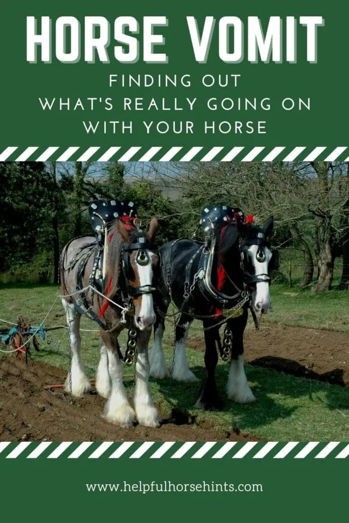 Pinterest pin - Horse Vomit: Find Out What's Really Going On With Your Horse