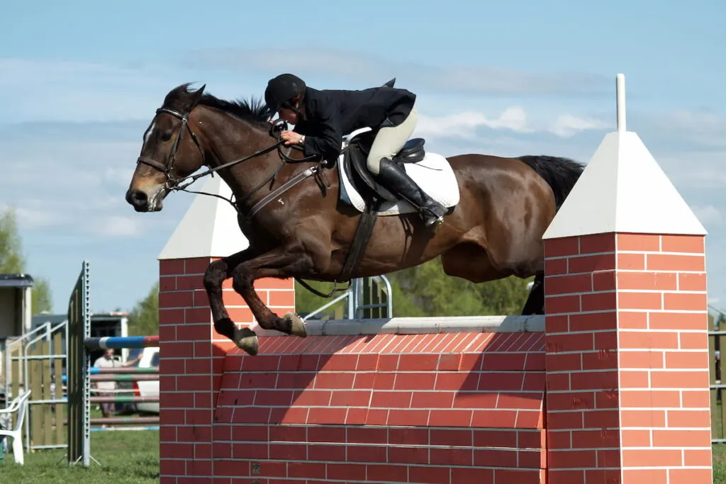 Horse Wall Jumping 