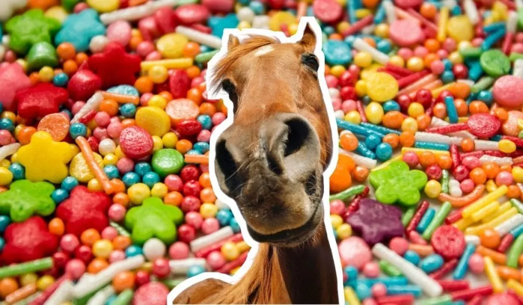 Horse and Candies