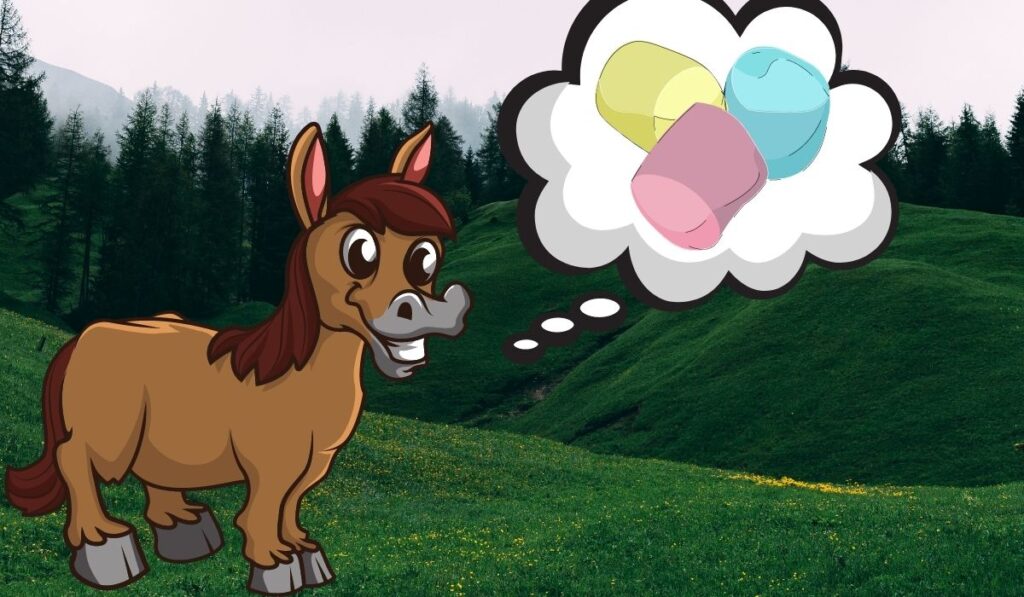 Horse and Marshmallows Treats