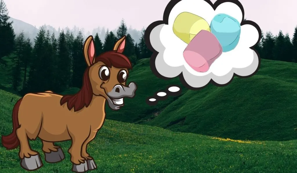 Horse and Marshmallows Treats