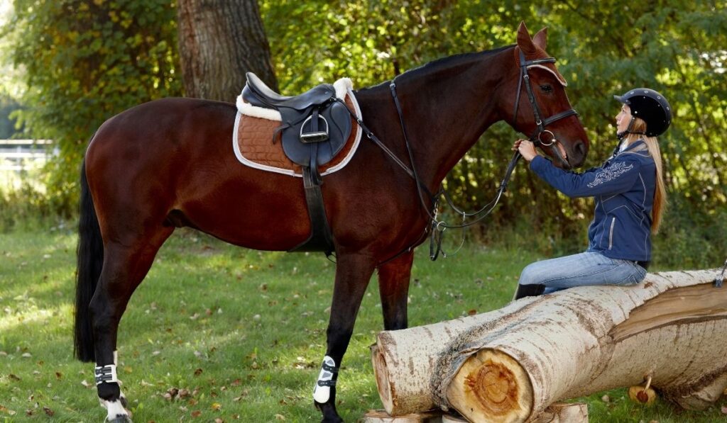 Horse and Rider