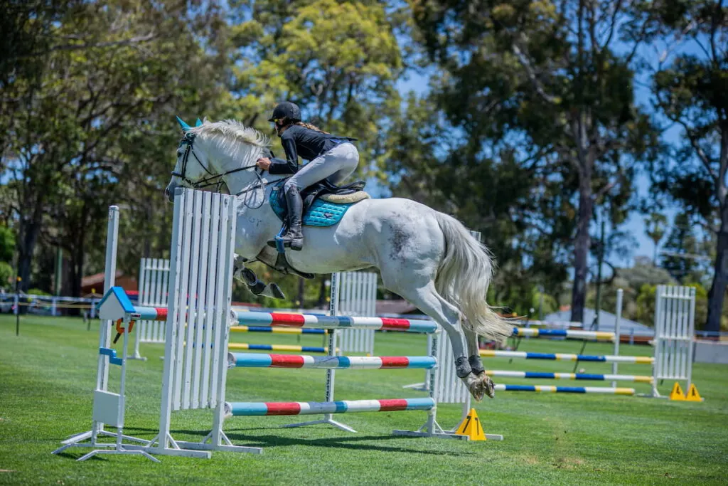 Horse and rider show jumping over square oxer jump