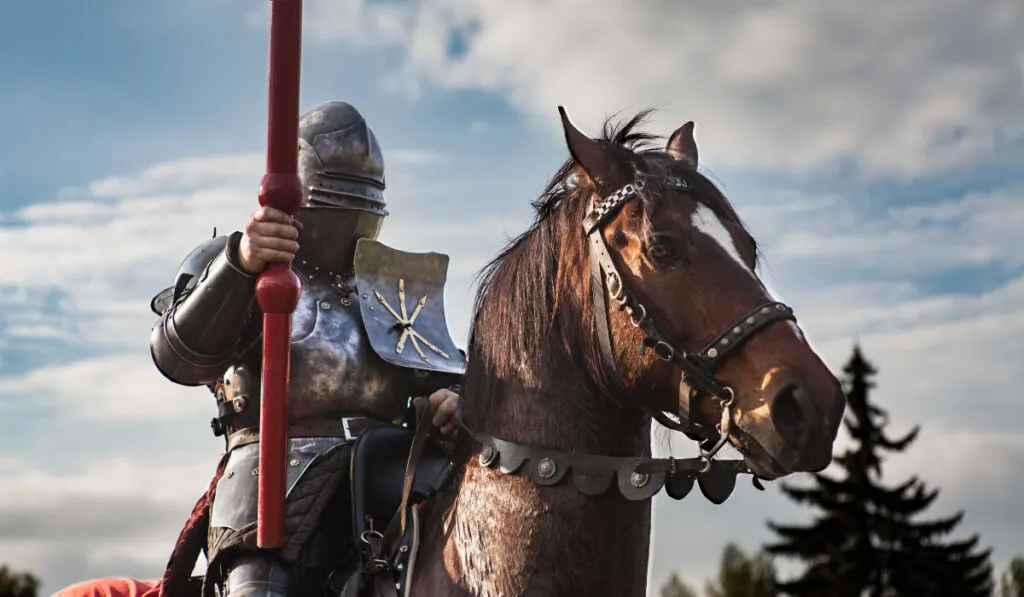 Horse in armor with knight holding lance.