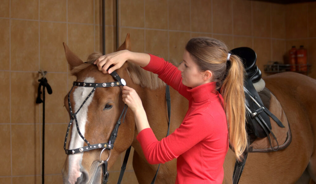 Horse rider preparing bridle at stable