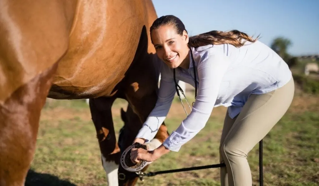 Horse vet showing horseshoe of horse