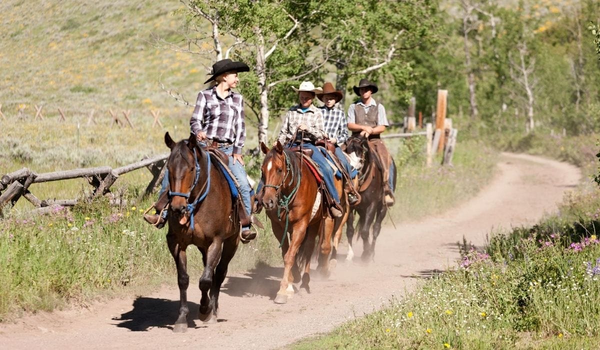 Horse with riders on trail