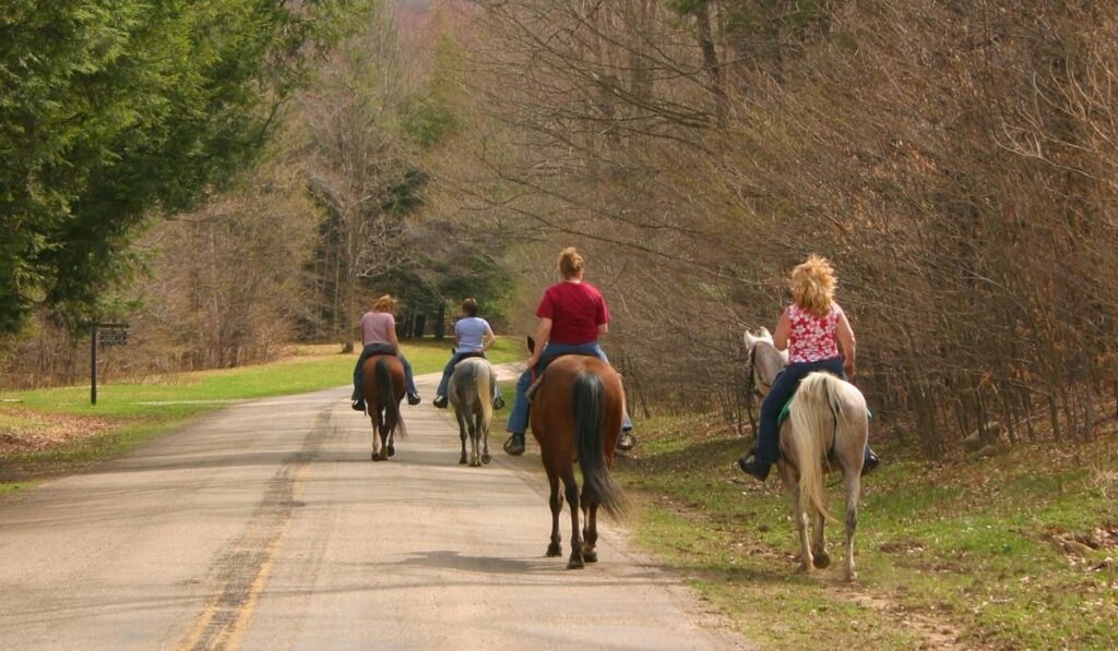 Horseback riding