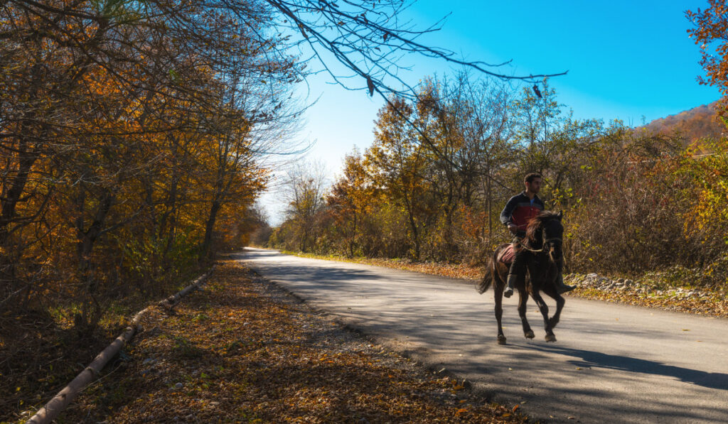Horseman on a rural road in autumn time