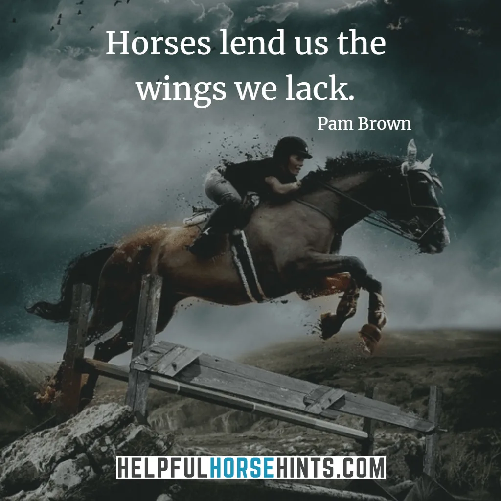 Horse Quote - Horses lend us the wings we lack.