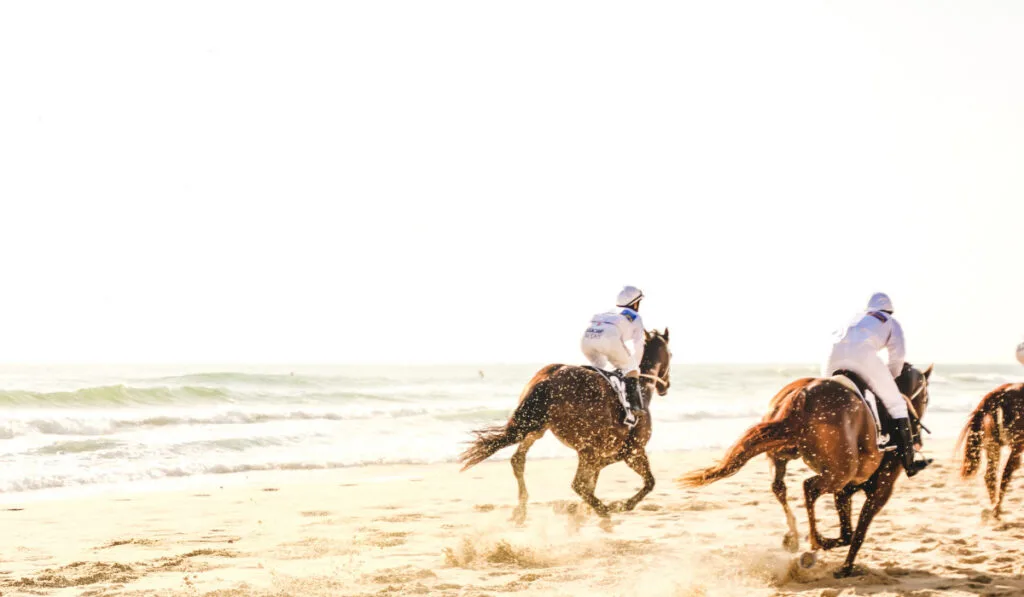 Horses racing along the beach at Surfers Paradise in Queensland, Australia