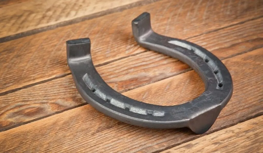 Horseshoes