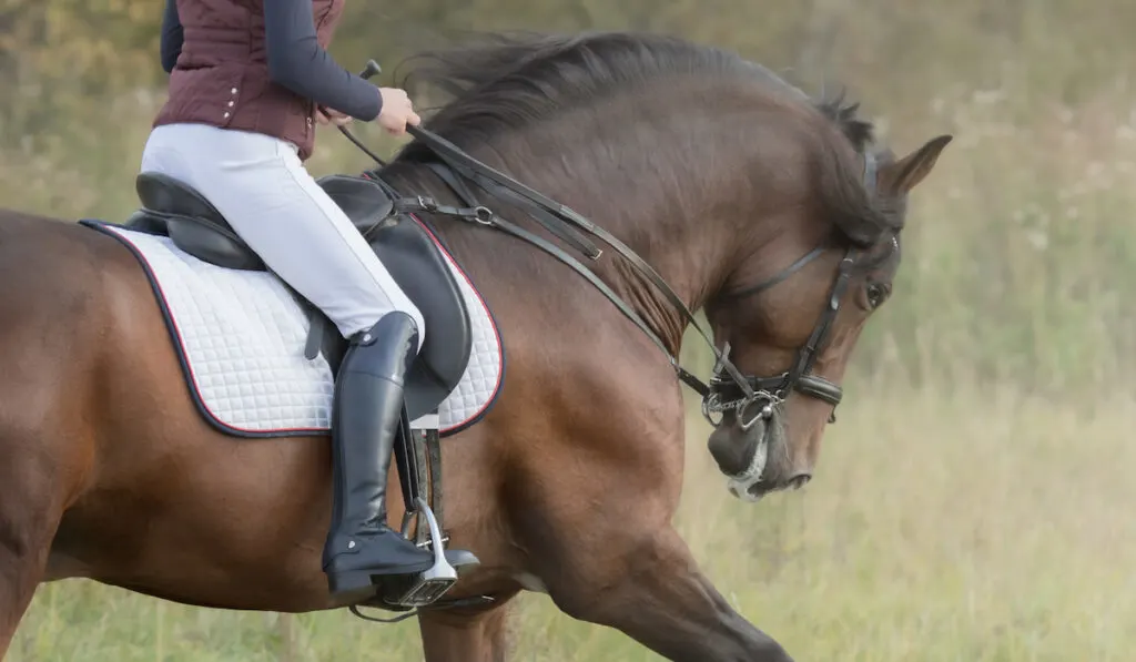 Horsewoman riding a big bay horse