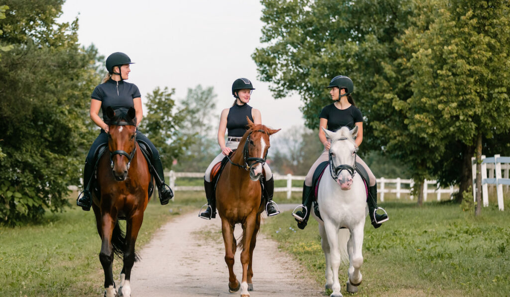 Horsewomen riding beautiful horses along the trail at the equestrian center on a bright summer day.