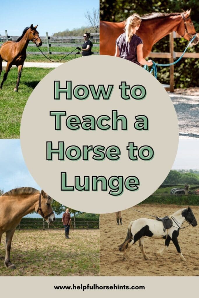 Pinterest pin - How To Teach A Horse To Lunge