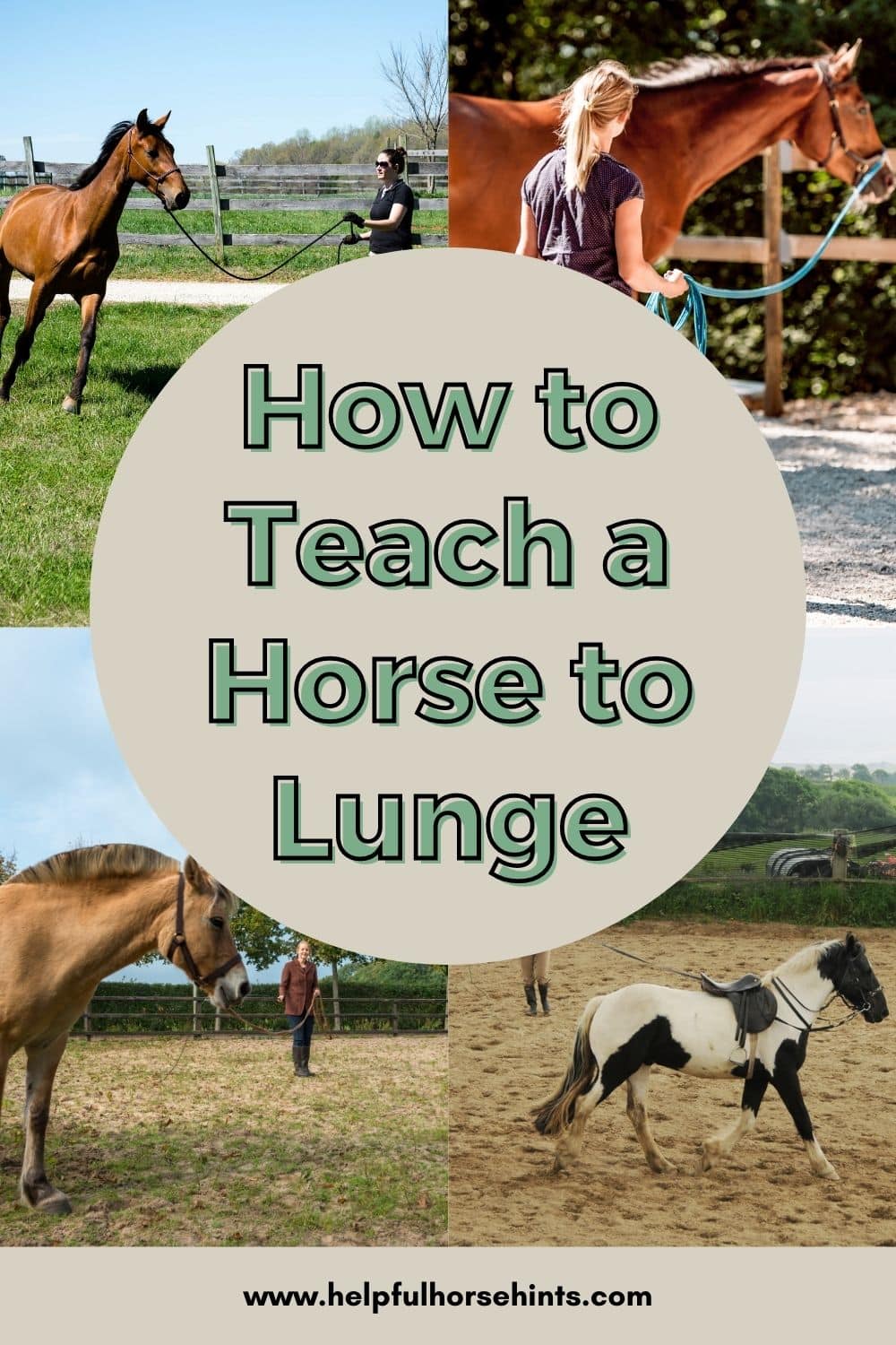 How To Teach A Horse To Lunge Helpful Horse Hints