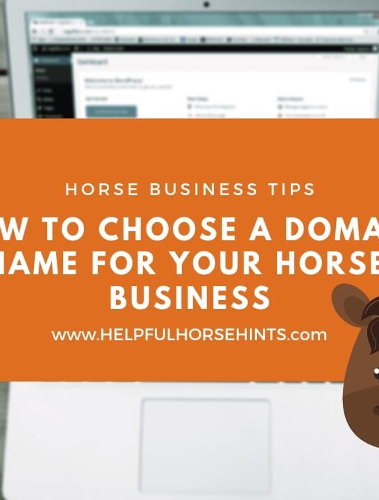 How to Choose a Domain for Your Horse Business