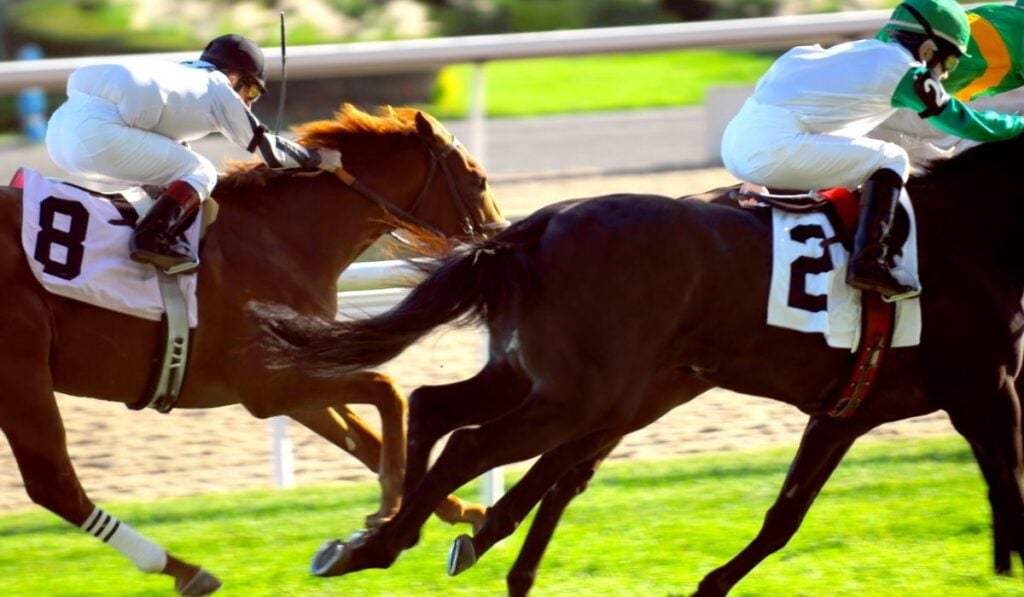Jockey