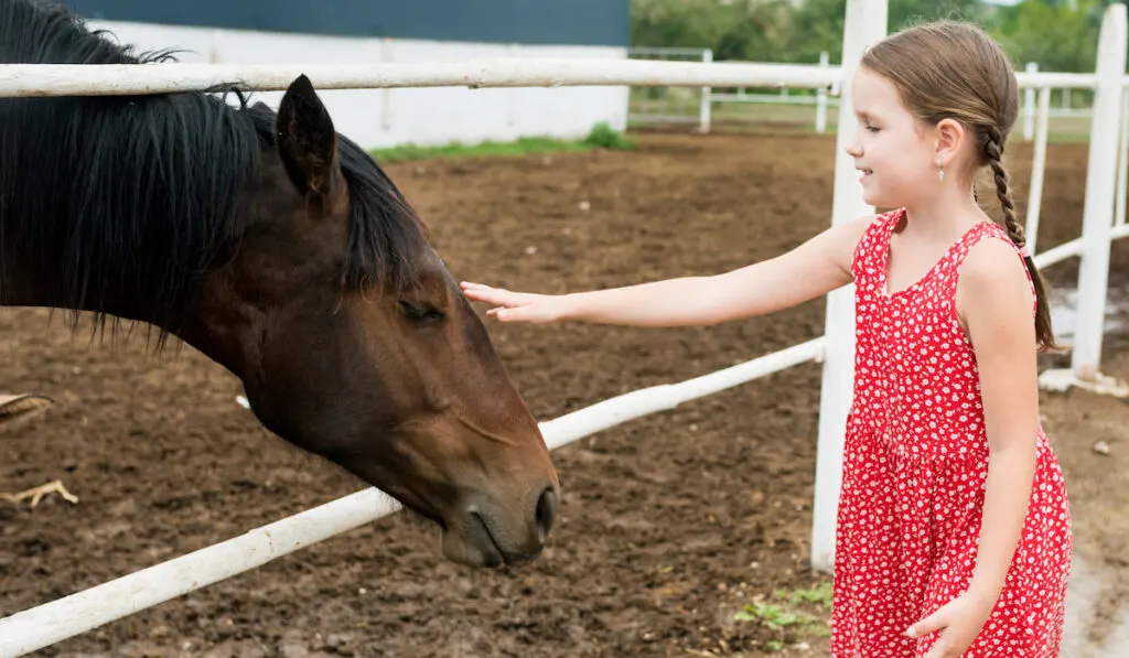 Kid standing near the white fence in the stable and stroking horse