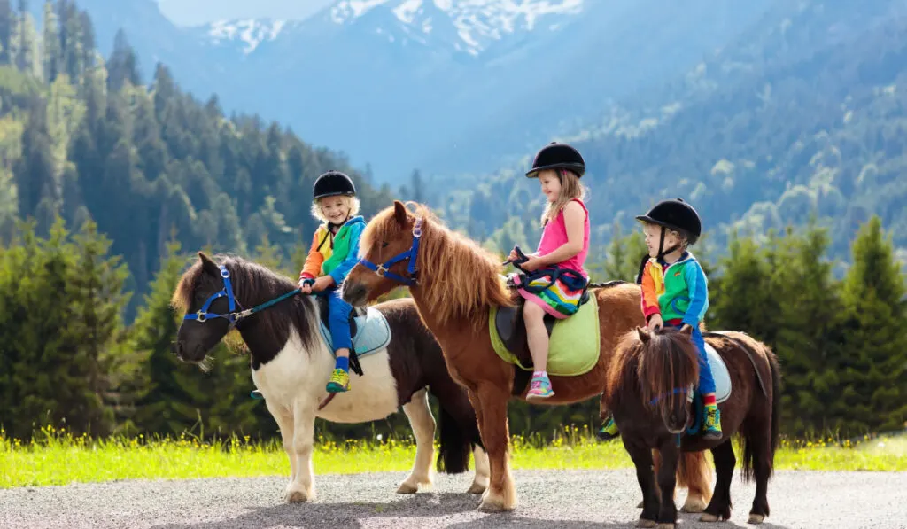 Kids riding pony in the Alps mountains