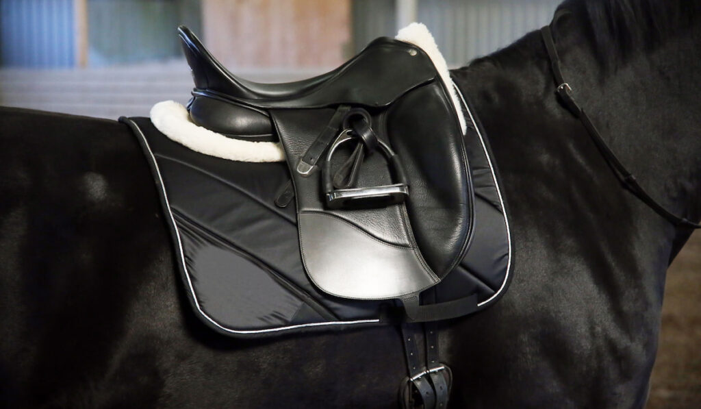 Leather saddle for dressage equestrian sport on a back of a black horse