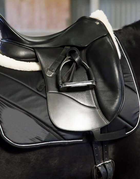 leather saddle for dressage equestrian sport on a back of a black horse