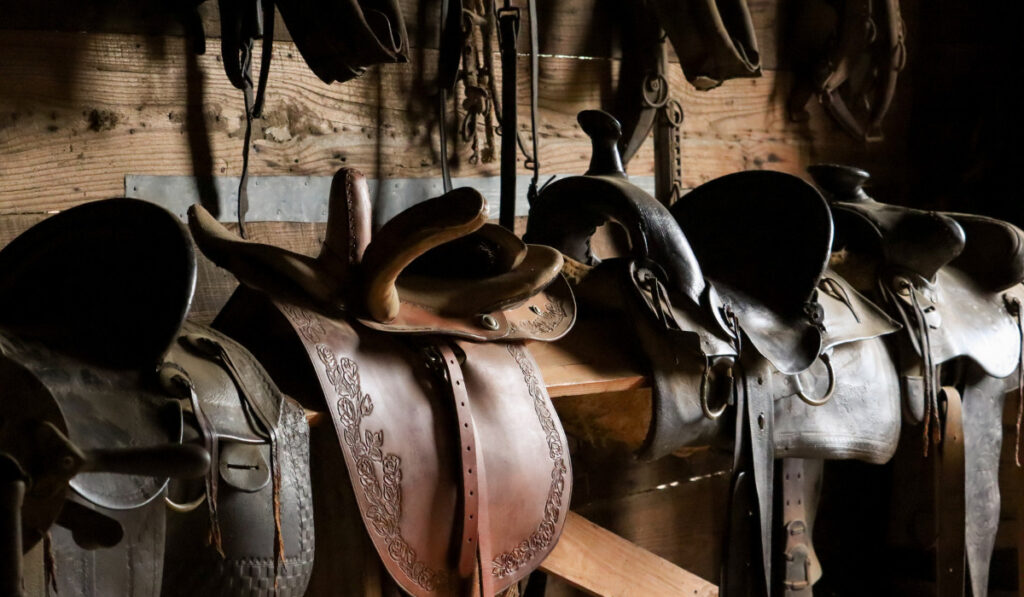 Leather saddle, harness for horses on daylight

