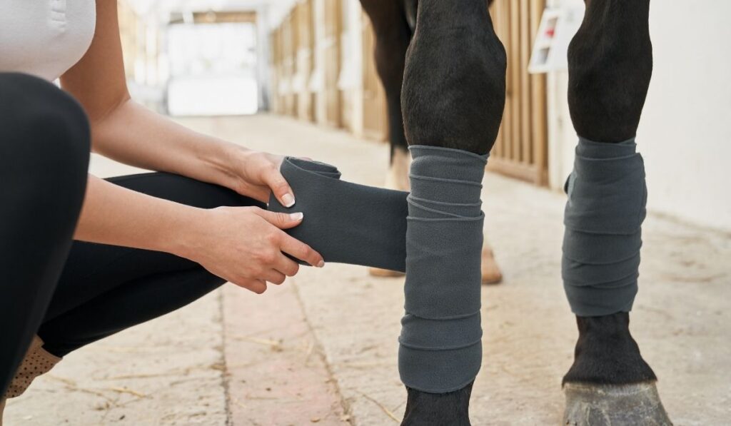Woman putting her horse a Leg Protection