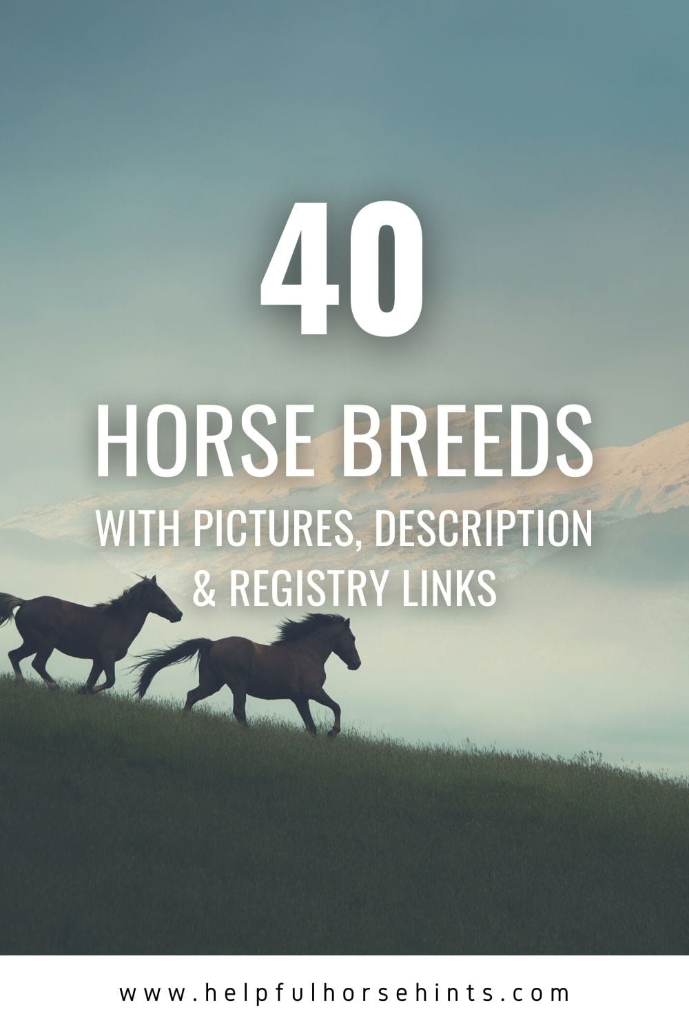 6 Best Quarter Horse Bloodlines Helpful Horse Hints 6-best-quarter-horse-bloodlines-helpful-horse-hints