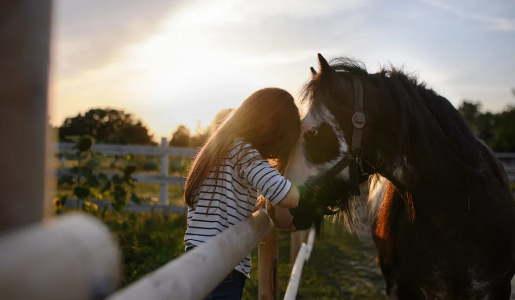 Little girl hugging old horse outdoors at community farm