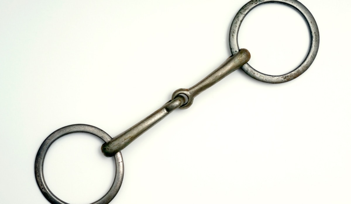 17 Types of Bits for Horses Helpful Horse Hints